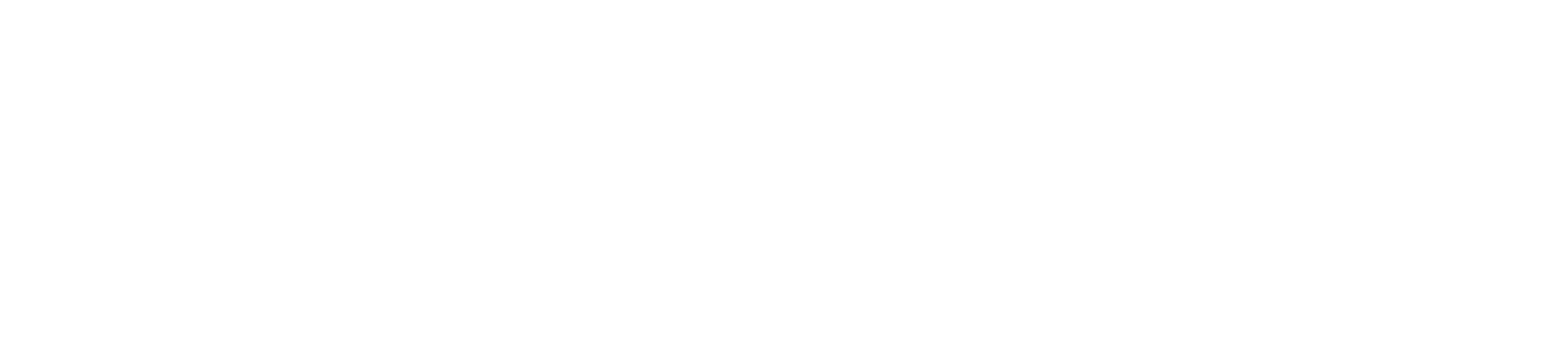 Logo Rentsim